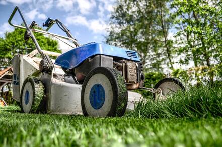 Picture of lawn mowers cairns
