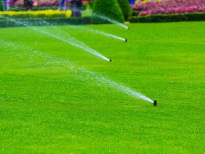 Picture of watering lawn in Cairns